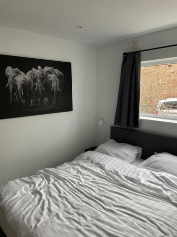 Willa Terrasse De Malmedy, Triplex 243 Zewnętrze zdjęcie